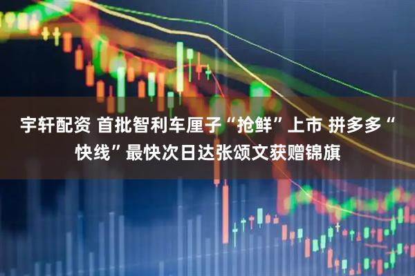 宇轩配资 首批智利车厘子“抢鲜”上市 拼多多“快线”最快次日达张颂文获赠锦旗