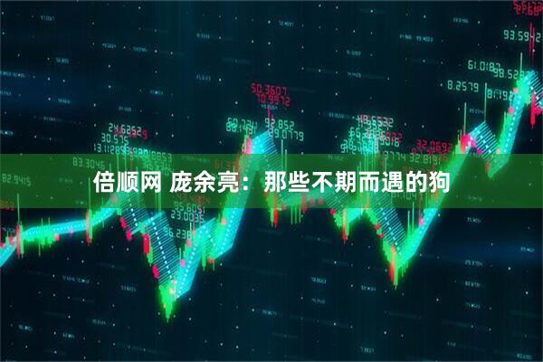 倍顺网 庞余亮：那些不期而遇的狗