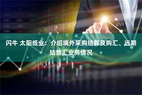 闪牛 太阳纸业：介绍境外采购结算及购汇、远期结售汇业务情况